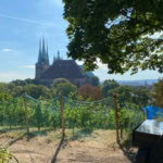 Petersberg bei 40 °C 1 Bild1 1